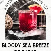 Spooky bloody sea breeze cocktail, served in a beautiful glass. Placed in a smoking black bowl.