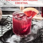 Spooky bloody sea breeze cocktail, served in a beautiful glass. Placed in a smoking black bowl.