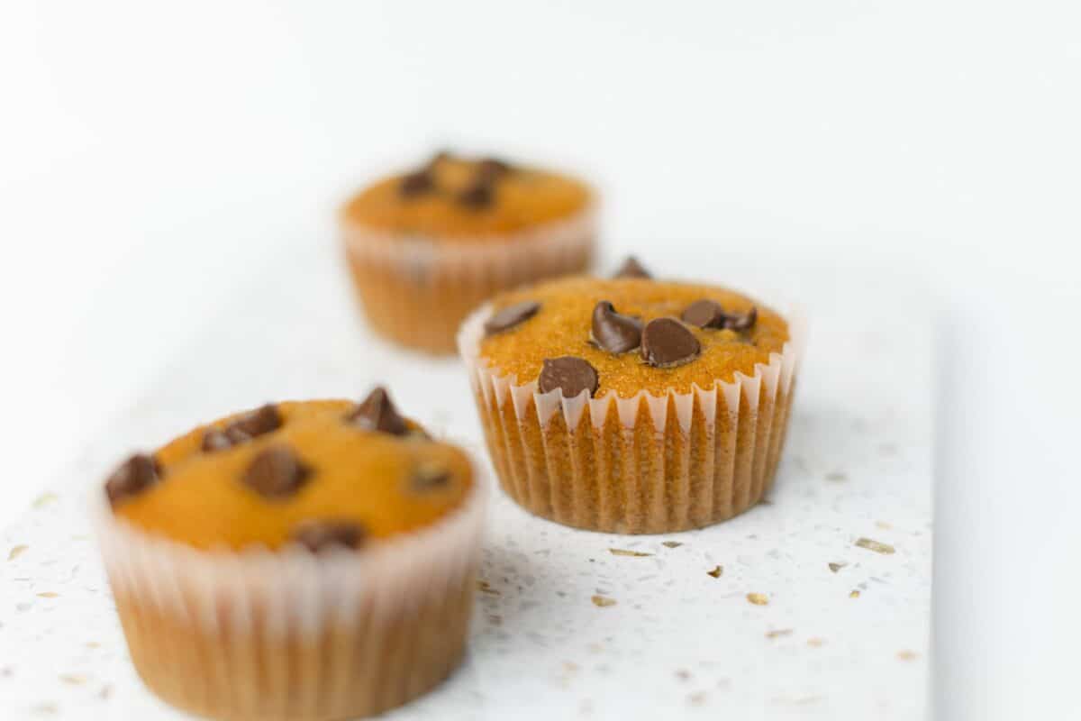 pumpkin chocolate chip muffins