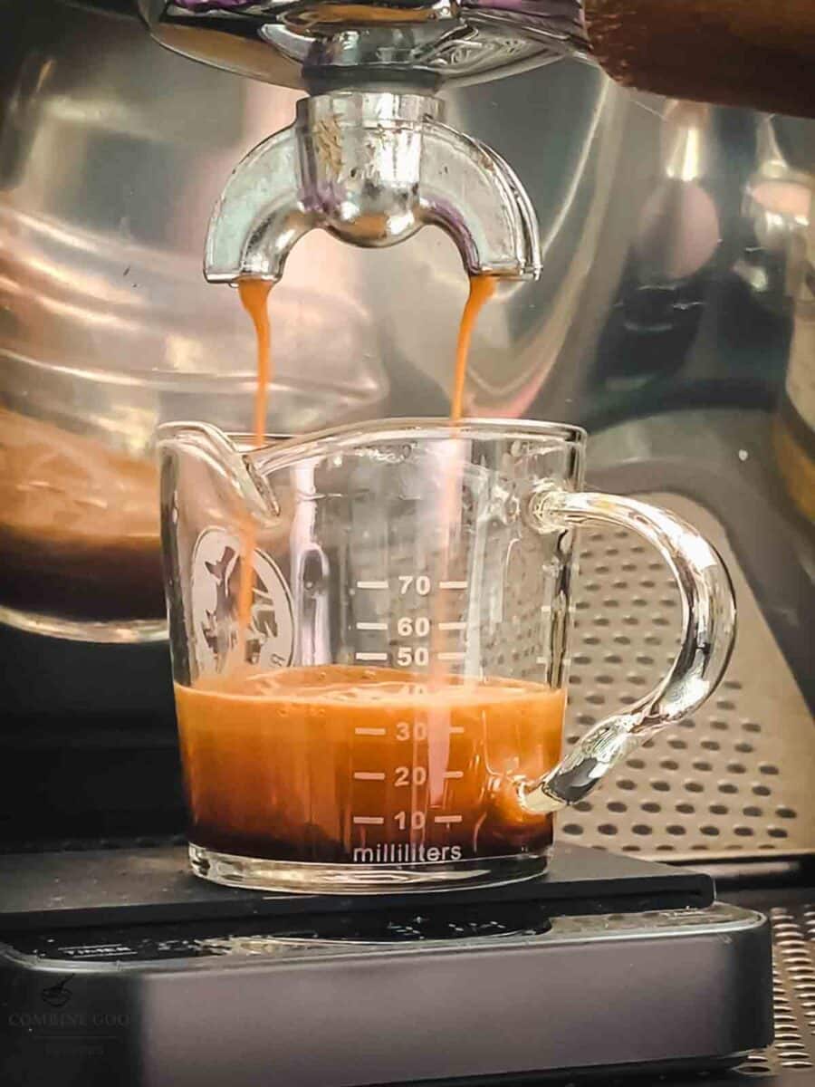 Pull one espresso shot.