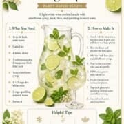 Hugo Spritz party batch infographic with white wine, elderflower syrup, lime, mint, sparkling mineral water, and instructions for eight drinks.