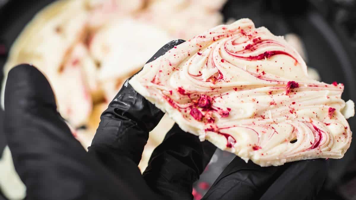 Stunning Halloween bark, held in black gloved hand.